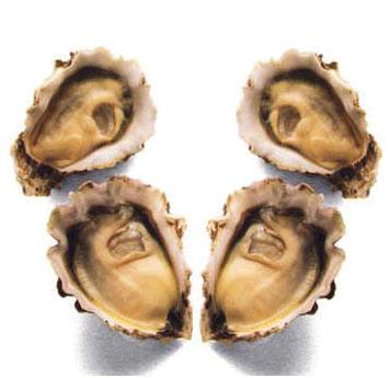 ���յľŵ���