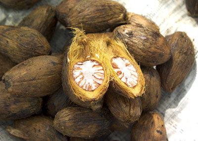 ʳԵġ