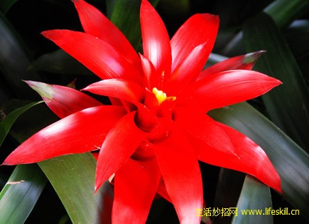 ������������Ҫ��