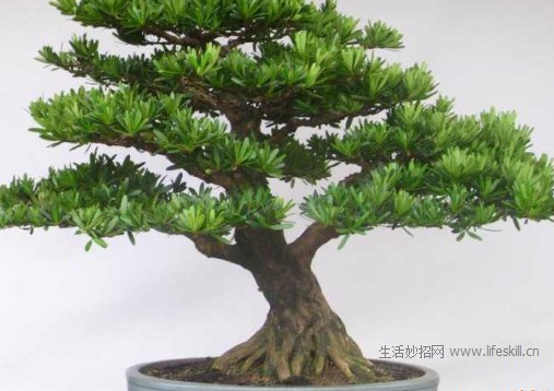 �����������Ե��޺���