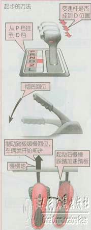 ����ѧ��������ʮ��