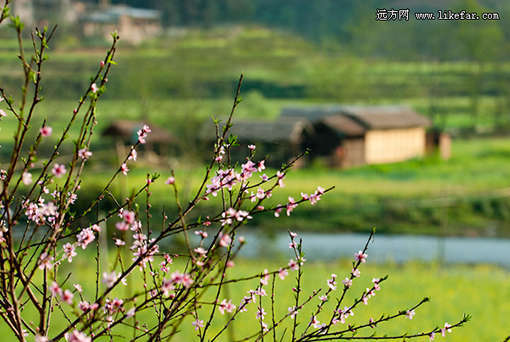 ���ϰ��������ι���