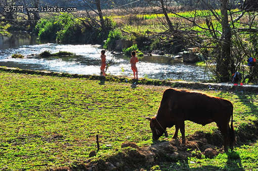 ���ϰ��������ι���