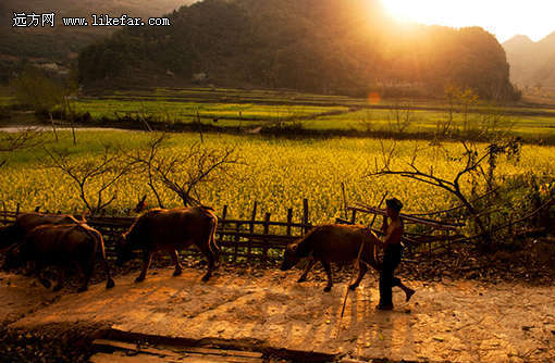 ���ϰ��������ι���