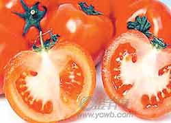 防晒妙方吃的护理