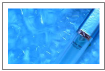 事不宜迟 春季战“痘”攻略