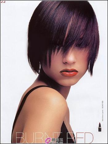 ��̬��[ͼ]2005������ľ�������