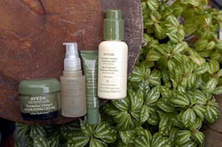 ���У�[��ͼ]�������