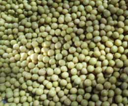 ����̥���23�ֽ�����ʳ