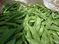 ����̥���23�ֽ�����ʳ