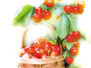 九种食品吃出健康