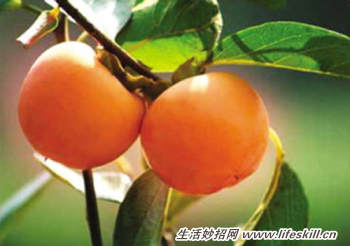 ӵӪֵʳ׼淽