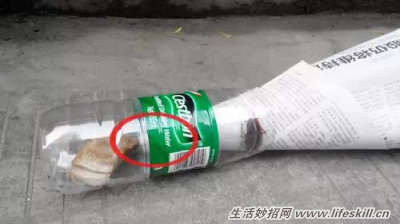 ���ÿ�Ȫˮƿ׽���