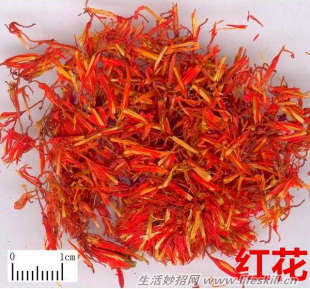 ȥ��������Ƥ���ϼ����