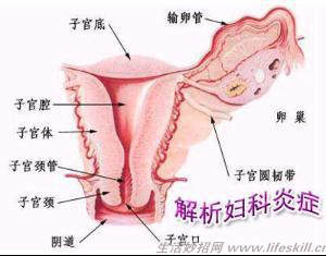 妇科医生告诉你,正常白带什么样!