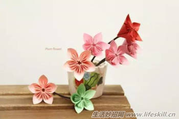 ������ӣ����ֽ�̳�