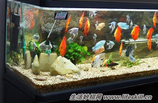 水族箱漏水了怎么办?