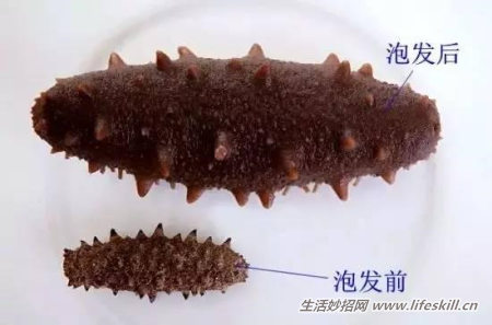 ѡʷĺʣ
