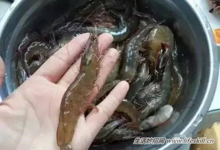 ѡʷĺʣ