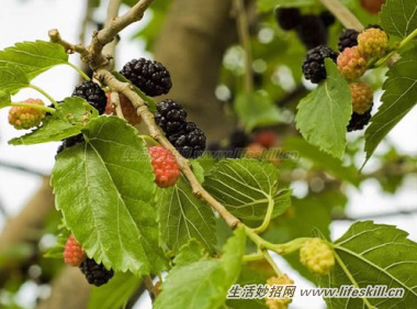 ɣ����������Ч֪����