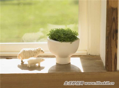 5ֿɰСԣóʣµֳҲ~