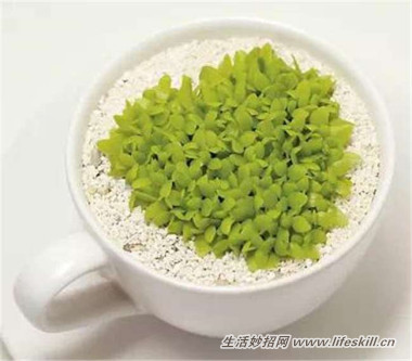 5ֿɰСԣóʣµֳҲ~