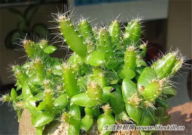 5ֿɰСԣóʣµֳҲ~