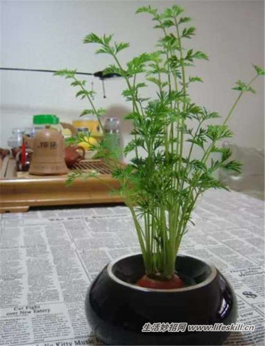 5ֿɰСԣóʣµֳҲ~