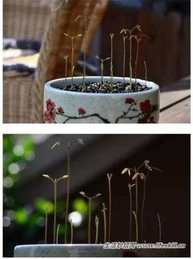 5ֿɰСԣóʣµֳҲ~