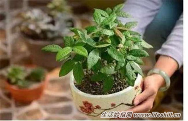 5ֿɰСԣóʣµֳҲ~