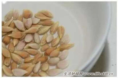 5ֿɰСԣóʣµֳҲ~