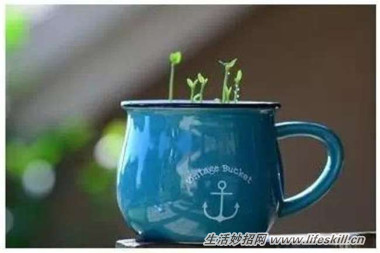 5ֿɰСԣóʣµֳҲ~