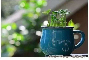 5ֿɰСԣóʣµֳҲ~